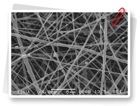 True Beauty Technology Microscopic